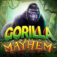 Gorilla Mayhem - mostbet-app-polska.pl